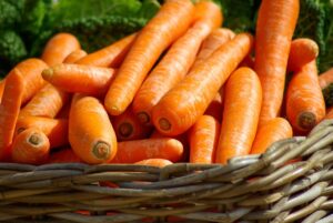 Leseprobe „Gesunde Ernährung“